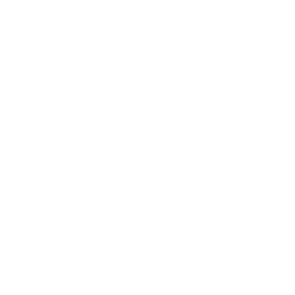 Future of Life Institute Logo